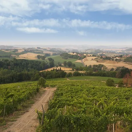 Crealto * Alfiano Natta