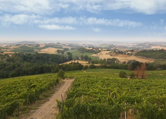 Crealto * Alfiano Natta